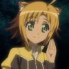 days-dog-jaune-15