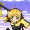 days-dog-jaune-22