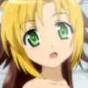 days-dog-jaune-30