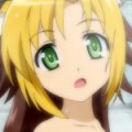 days-dog-jaune-30b