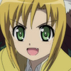 days-dog-jaune-34