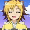days-dog-jaune-37