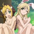 days-dog-jaune-vert-01b
