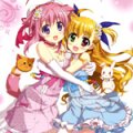 days-dog-mgln-millhiore-vivio-01b