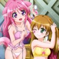 days-dog-millhiore-rebecca-03b