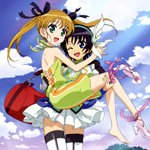 days-dog-nanami-rebecca-01b