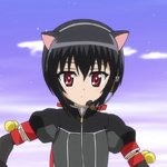 days-dog-noir-22b