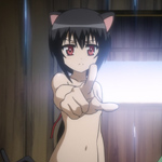 days-dog-noir-31b