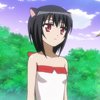 days-dog-noir-32