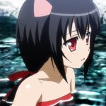 days-dog-noir-33b