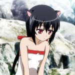 days-dog-noir-34b