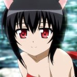 days-dog-noir-35b