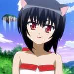 days-dog-noir-36b