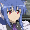 days-dog-rouge-03