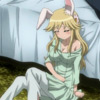 days-dog-vert-17
