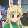 days-dog-vert-18