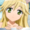 days-dog-vert-32