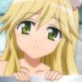 days-dog-vert-32b