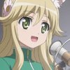 days-dog-vert-34