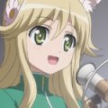 days-dog-vert-34b