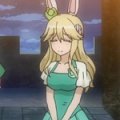 days-dog-vert-40b