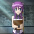 days-dog-violet-13b