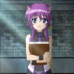 days-dog-violet-13b