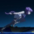 days-dog-violet-18b