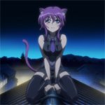 days-dog-violet-20b
