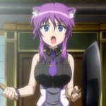 days-dog-violet-23b