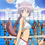 days-dog-volleyballdog-01b