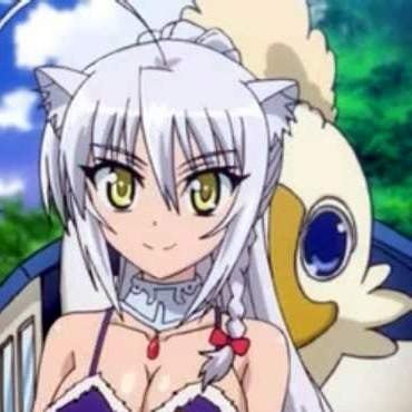 dog-days-avatar-26