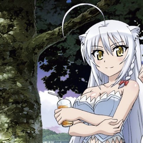 dog-days-avatar-8