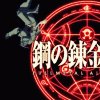 fma-33665