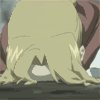 fma-49311