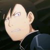 fma-83308