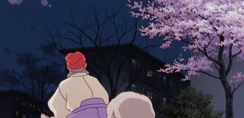ani-gif-240