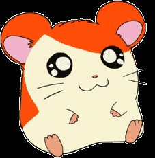 hamtaro-0043