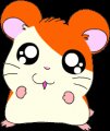 hamtaro-0044