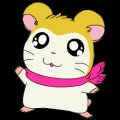 hamtaro-0046
