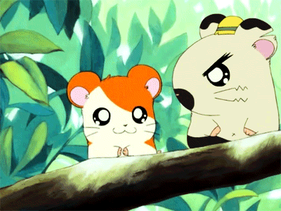 hamtaro-56456