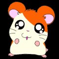 hamtaro_g_032