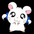 hamtaro_g_035