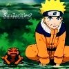 avatar_thSimilarities