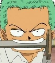 one-piece-roronoa-zoro-46