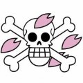 one-piece-pirate-flag-14