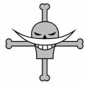 one-piece-pirate-flag-18