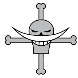 one-piece-pirate-flag-18