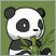 panda-icon-picture16