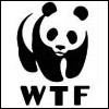 wtf-panda